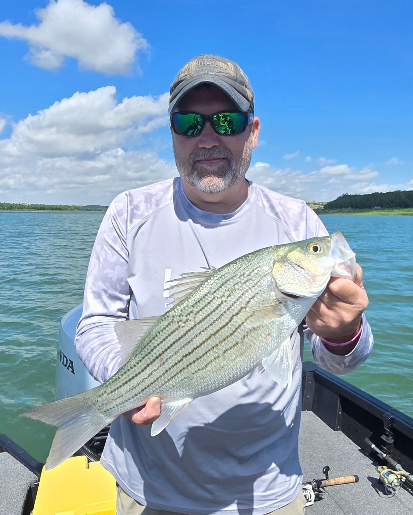#1 Best Seller! Knockin Tail Lures Bundle, Limited Time Offer. Great deal!