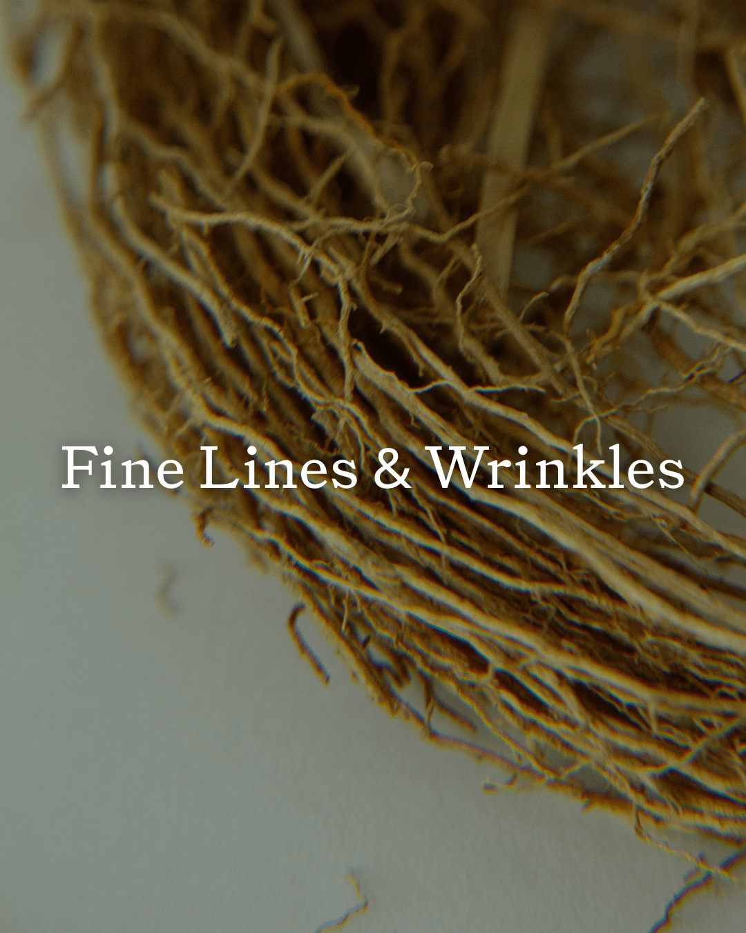 Emanations Tallow & Emu Face Oil | Sea Buckthorn & Floral Attars | Dry, Sensitive & Mature Skin